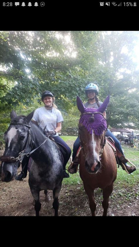 Normal Photography, Riding Helmets, Best Friends, Horses, Collage, Hats, Photography, Animals, Pins