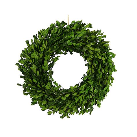 Primrue Faux Boxwood Twig 18'' Wreath & Reviews | Wayfair Cottage Design Plans, Faux Boxwood, Preserved Boxwood, Leaf Collection, Natural Twists, Boxwood Wreath, Artificial Boxwood, Twig Wreath, Real Leaves