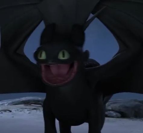 me at 3 am Toothless Httyd, 3 Am, Train Your Dragon, How To Train, Toothless, How To Train Your Dragon, Httyd, How To Train Your, The Moon