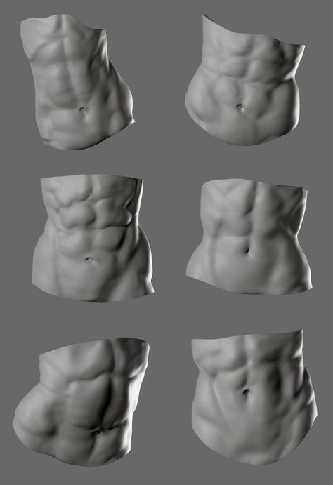 Female Anatomy Sketch, Abs Anatomy, Female Abs, 남성 근육, Anatomy Sculpture, الفن الرقمي, Body Study, Anatomy Tutorial, Human Anatomy Drawing