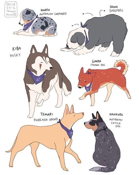 Hamotzi Sammy Savos Dogs, Dog Muzzle Drawing Reference, Anime Dog Drawing, Sammy Savos, Alaskan Husky, 강아지 그림, Art Manga, Dog Illustration, Animal Sketches