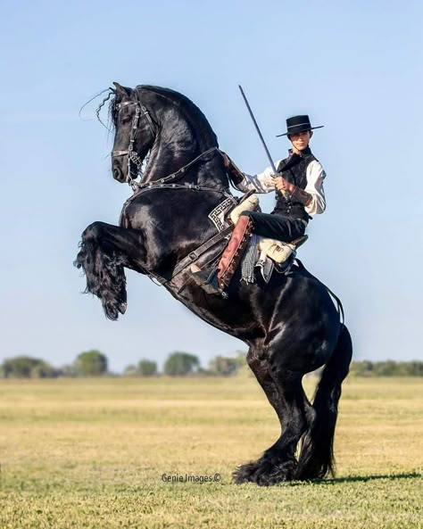 Man On Horse Painting, Guy On Horse Reference, Man Riding Horse Reference, Horse Rearing With Rider Drawing, Horse Rider Reference, Rearing Horse With Rider, Person On Horse Reference, Horse Standing Up, Riding A Horse Reference