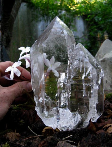 Pretty Crystals, Minerals Crystals Rocks, Healing Room, Himalayan Quartz, Cellular Level, Crystal Magic, Optimal Health, Minerals And Gemstones, Rocks And Gems