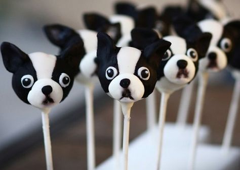 Boston Terrier Cake, Deco Cupcake, Boston Terrier Love, Dog Cake, Cake Balls, Boston Terriers, Cakepops, Cute Cakes, Cupcake Cookies