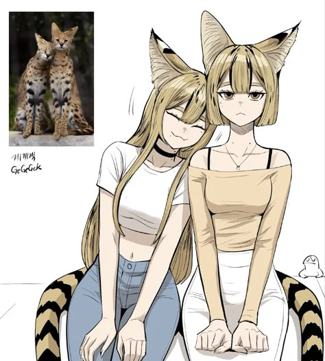 Animal Hybrid, Hybrid Cat, Serval Cats, Hybrid Art, Anime Animals, Monster Girls, Creature Concept Art, Anime Cat, Cute Comics