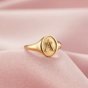 Signet Rings Women Vintage, Posh Totty, Signet Rings Women, Signet Rings, Gold Rings Fashion, Gold Ring Designs, Gold Signet Ring, Initial Ring, Jewelry Lookbook