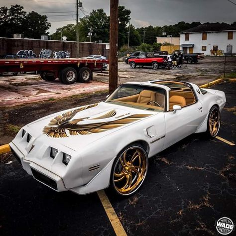 1979 Pontiac Trans Am, Gto Car, Pontiac Trans Am, Chevrolet Ss, Pontiac Cars, Pontiac Firebird Trans Am, Best Muscle Cars, Firebird Trans Am, Road Rage