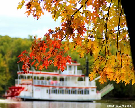 YOUR OFFICIAL GUIDE TO STILLWATER, MINNESOTA TOURISM! The place where it all began is still the place to be! Stillwater Minnesota, Harvest Fest, Ghost Walk, Minnesota Travel, Private Boat, Apple Farm, Boat Cruise, Where It All Began, St. Croix