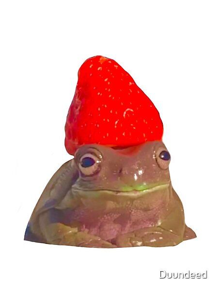 this frog will make your day so much better Frog With Strawberry, Meme Frog, Strawberry Frog, Frog Meme, Top Artists, Make Your Day, Sell Your Art, Make Your, Make It Yourself