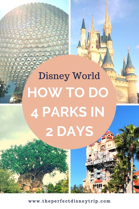 3 Days At Disney World, 4 Days At Disney World, 2 Day Disney World Itinerary, 2 Days At Disney World, Disney Park Itinerary, Disney World Parks Orlando, Disney World Itinerary, Disney World For Adults, Disney Trip Surprise