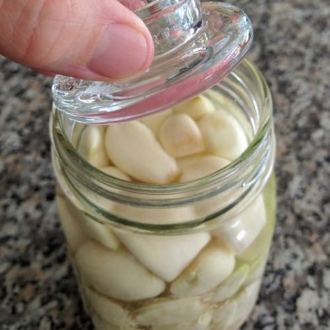 pickling garlic weighed down with fermentation weight Eating Raw Garlic, Fermented Food Recipes, Natural Antibiotic, Pickled Garlic, Raw Garlic, Pickled Vegetables, Garlic Recipes, Pickling Recipes, Eating Raw