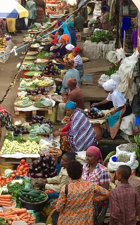 Car Drives, Small Luxury Cars, Tanzania Travel, Flycatchers, Arusha, Queer Art, Sports Sedan, Mercedes Benz Amg, Fresh Fruits And Vegetables