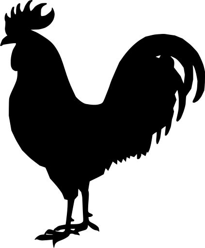 chicken (215 images) - Free SVG Image & Icon. | SVG Silh Chicken Silhouette, Chicken Svg, Chicken Svg Files Free, Rooster Svg Free, Chicken Silloute, Chicken Svg Free Cricut, Chicken Svg Free Files For Cricut, Free Rooster Svg Files For Cricut, Rooster Images