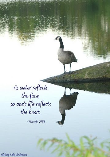 Water Reflection Quotes, Proverbs 27 19, Words Of Courage, Spiritual Lessons, Christian Journal, Proverbs 27, Reflection Quotes, Prayer Requests, Christian Journaling