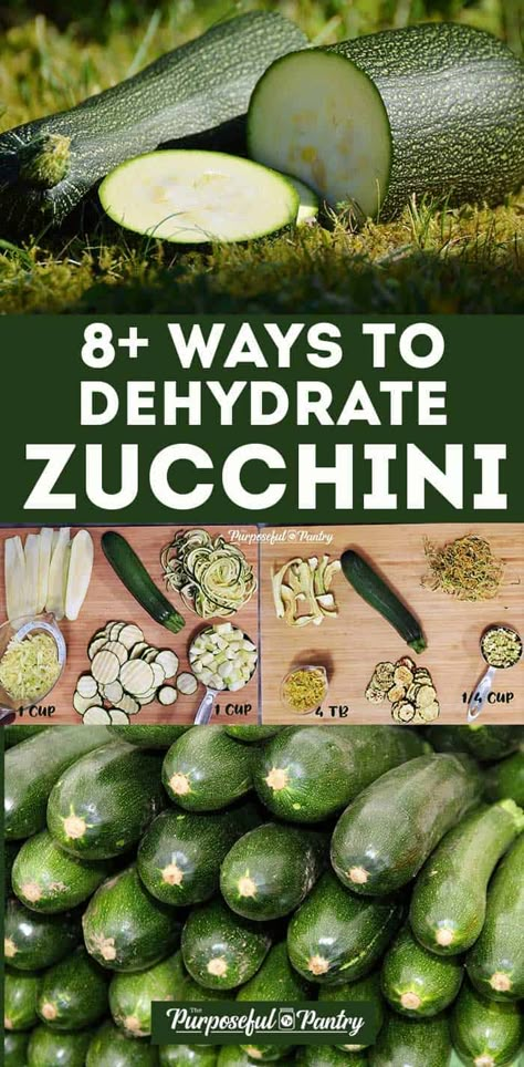 Dehydrating Zucchini, Dehydrate Zucchini, Preserving Zucchini, Dehydrated Zucchini Chips, Zucchini In The Oven, Preparedness Ideas, Dehydrating Food Storage, Favorite Casserole Recipes, Food Dehydration