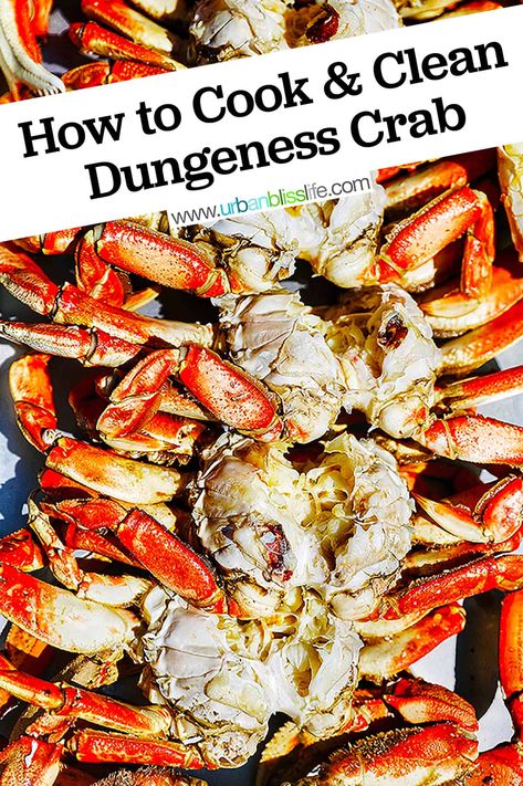 Cooking Dungeness Crab, Crab Boil Recipe, Dungeness Crab Recipes, Crab Pasta, How To Cook Liver, Crab Dishes, Crab Boil, Seafood Entrees, Dungeness Crab