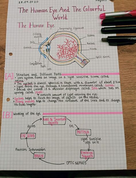 Optometry Notes Aesthetic, Notes Ideas For Physics, Human Eye Notes Aesthetic, Biology Notes Class 10 Aesthetic, Eye Biology Notes, The Eye Biology Notes, Physics Notes Class 10 Human Eye, Class 10 Bio Notes Aesthetic, Human Biology Aesthetic Notes