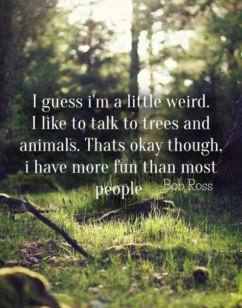 Quotes For Nature, Wildlife Quotes, Wanderer Quotes, Nature Quotes Beautiful, Forest Quotes, Cunning Folk, Animal Lover Quotes, Mother Nature Quotes, A Walk In Nature