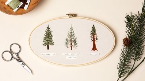 With its layered leaves and dimensional colors, the forest has always sparked the imagination of Colorado artist Anna Hultin of OlanderCO Embroidery. In this class, Anna will teach you how to embroider a trio of iconic North American evergreen trees: the Douglas Fir, the Rocky Mountain Juniper,... Rocky Mountain Juniper, Colorado Artists, Diy Doll Miniatures, Dimensional Color, Redwork Embroidery, Crafts Workshop, Thread Painting, Craft Classes, Embroidered Towels