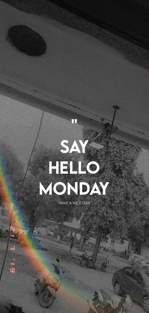 Monday Snap, Hello Monday, Say Hello, Good Day