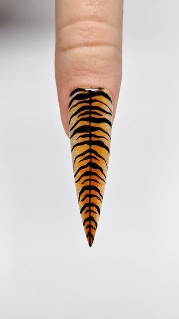 Kamila Borowiec on Instagram: "🐅 Animal print 🐅 Mini tutorial- Tiger nail design 🐅 Perfect design for autumn season 👌 Have you ever tried creating this design or wearing it ? 

🐅 All products used are from @kirstymeakin 🐅
Discount code Glamnails10 

#naildesing #nailtutorial #nailtutorials #nailvideos #nailreels #nailinspiration #animalprintnails #autumnnails #gelnailart #gelnailart #nailobsession #nailed #nails2inpire #nailartdesigns #nailtrend #showscratch #nailartswag #nailartoohlala #nailartdiary #hybrydy #nailstoinspire" Tiger Nail Design, Tiger Nails Designs, Tiger Stripe Nails, Tiger Nail Art, Paw Nails, Tiger Nails, Tiger Paw, Mini Tutorial, Print Nails