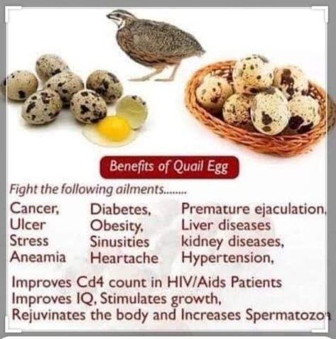 Quail Eggs Benefits, Eggs Packaging, Banana Nutrition Facts, Pickled Quail Eggs, Optimum Nutrition Whey, Benefits Of Eating Eggs, Egg Nutrition Facts, Quail Recipes, Egg Nutrition