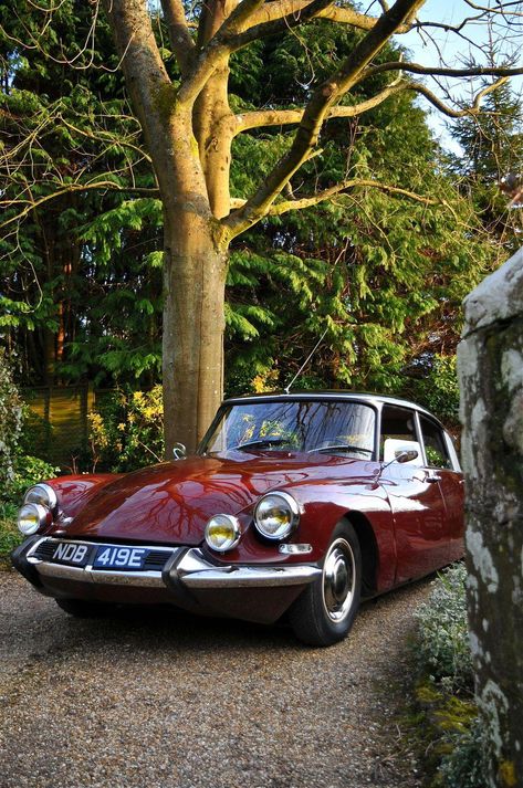 Citroën Id, Classic European Cars, Psa Peugeot Citroen, Citroen Car, Citroën Ds, Auto Retro, Lovely Car, Citroen Ds, European Cars