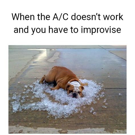 Broken A/C? There more efficient ways to stay cool. Call United Plumbing Heating Air & Electric today for all your air conditioning needs. #sandiego #hvac #ac #airconditioning  https://localunitedservices.com Hvac Humor Air Conditioning, Air Conditioning Humor, Hvac Humor, Hvac Maintenance, Creative Ads, Air Conditioning, Meme Pictures, Funny Images, Funny Quotes