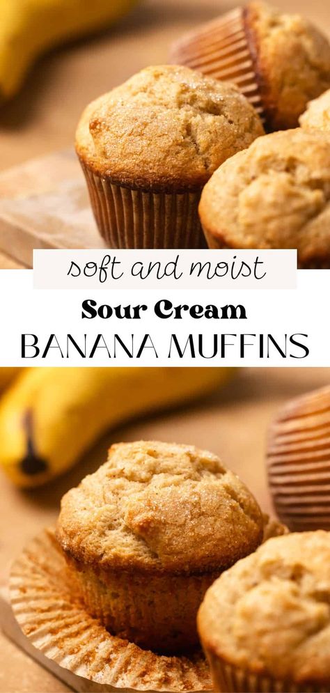 These moist and fluffy banana muffins with sour cream are made in one bowl and have so much flavor from overripe bananas, vanilla, and a pinch of cinnamon! The addition of sour cream makes them extra tender, rich, and soft. I promise this easy muffin recipe will be a hit with all of your family and friends and is a breeze to whip up in under 30 minutes! Banana Muffins Sour Cream, Banana Sour Cream Muffins, Banana Muffins With Sour Cream, Moist Banana Muffin Recipe, Sour Cream Banana Muffins, Fluffy Banana Muffins, Muffins With Sour Cream, Banana Cream Cheese Muffins, Banana Bread Cupcakes