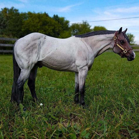 Collecta Horses, Miniature Horse Barn, Breyer Photography, Breyer Custom, Horse Figures, Horse Tack Diy, Unusual Horse, Diy Horse Barn, Horse Model