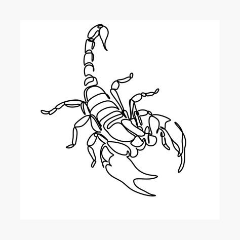 Scorpio Line Art, Zodiac Scorpio Tattoo, Scorpio Drawing, Scorpio Illustration, Continuous Line Tattoo, Scorpio Zodiac Tattoos, Zodiac Sign Scorpio, One Line Tattoo, Grunge Tattoo