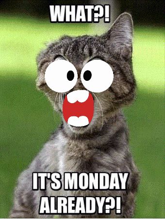 Monday Already Monday Again GIF - Monday already Monday again Weekend over - Discover & Share GIFs Monday Again, Hate Mondays, Cats With Big Eyes, Big Eyes, Animated Gif, Cool Gifs, Gif