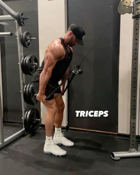 Alec Short | Fitness Coach on Instagram: "Want bigger triceps? Save these exercises and try them on your next workout 🔥. Scroll to the end for a tough arm day finisher 👀

✅ Follow @al_short33 for more fitness tips/content 

➡️ @tlfapparel @tlfmen | Code: TLF-ALEC

Tricep Exercises:

1️⃣ Double Rope Pressdown
- 4 Sets (10-12 Reps)
- Rest 60-90 seconds between each set 

2️⃣ Single Arm Dumbbell Overhead Extension
- 4 Sets (8-10 Reps) Each Arm
- Rest 60-90 seconds between each set 

3️⃣ Cable Pushdown (Straight Bar)
- 4 Sets (10–12 Reps) 
- Rest 60-90 seconds between each set

4️⃣ Dual Cross Cable Tricep Extension
- 4 Sets (10-12 Reps)
- Rest 60-90 seconds between each set 

5️⃣ Incline Dumbbell Skull Crushers 
- 4 Sets (8-10 Reps)
- Rest 60-90 seconds between each set 

📣 Like | Share | C Cable Tricep Extension, Cable Pushdown, Tricep Exercises, Skull Crushers, Tricep Extension, Arm Day, Triceps Workout, Arm Rest, Fitness Coach