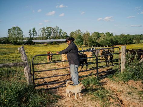 Black Farmer Aesthetic, Black Farmers, John Boyd, Outdoors Aesthetic, American History Lessons, Dream Jobs, History Curriculum, Black Queens, People Of Interest