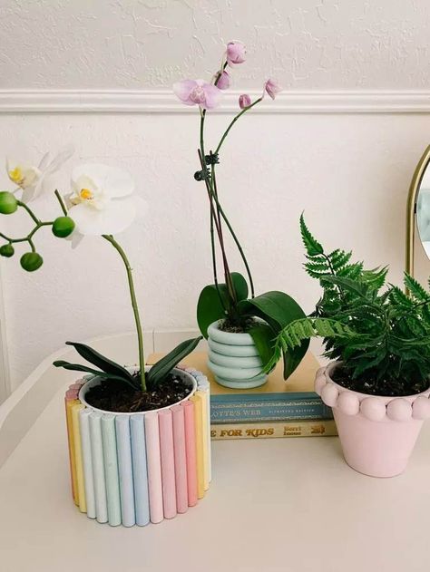 20 DIY Planter Ideas To Spruce Up Your Home On A Budget - 164 Wood Planters Indoor, Unique Plant Pots Diy, Cool Planter Ideas, Diy Planter Indoor, Thrifted Plant Pots, Diy Plant Pot Ideas, Diy Plants Pots, Diy Plant Pots Upcycle, Homemade Plant Pots Diy