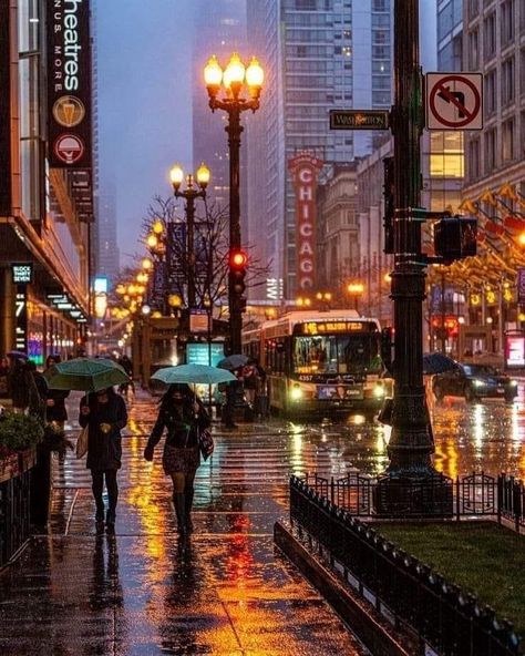 Old Town Chicago, Chicago Night, City Rain, Chicago Aesthetic, Chicago At Night, Chicago Street, Rainy Day Aesthetic, Chicago Usa, Chicago Artists