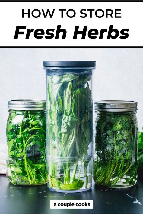 Here's the trick to how to store fresh herbs so they keep for days! Use this easy kitchen tip for all types of herbs. | herbs | herb recipes | #herbs #freshherbs #howtostoreherbs Fresh Herbs Storage, Produce Drawer, Storing Basil, Preserve Fresh Herbs, Store Fresh Herbs, Fresh Herb Recipes, Parsley Recipes, Cilantro Recipes, Rosemary Recipes