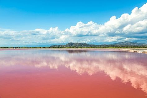 Lake Retba Senegal, Lake Retba, Fly Geyser, Hitachi Seaside Park, Seaside Park, Tunnel Of Love, Pink Lake, Blue Hole, Alien Planet