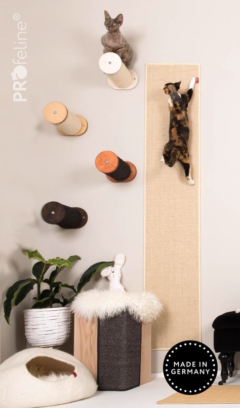 Wall Climping Carpet with Steps Wall For Cats, Cat Carpet, Cat Climbing Wall, Carpet Wall, Cat Steps, Cat Climbing, Climbing Wall, Wall Carpet, Cat Scratching