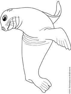 sea lion Sea Lion Craft, Seal Outline, Sea Lion Art, Seal Tattoo, Lion Craft, Lion Coloring Pages, Alice In Wonderland Drawings, Animal Templates, Underwater Painting