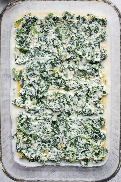 Feta Lasagna, Lasagna Pasta Recipe, Super Easy Lasagna, Easy Spinach Lasagna, Spinach Lasagna Recipe, Greek Lasagna, Spinach Enchiladas, Greek Spinach, Creamy White Sauce