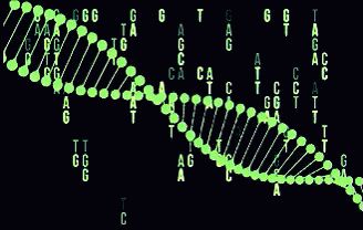 dna-code-code-matrix-dna-gif Dna And Genes, Dna Lab, Movie Special Effects, Embryonic Development, Make Better Choices, Museum Exhibition Design, Reading Post, Fancy Video, Make Good Choices