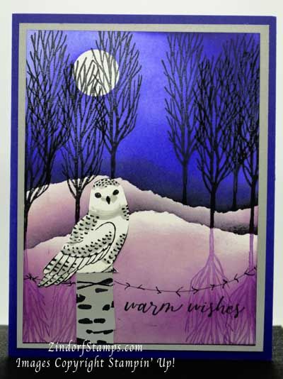 Winter Owls Stampin Up Cards, Stampin Up Owl Cards, Polar Bear Christmas Cards, Zindorf Cards, Winter Owls, Scene Ideas, Owl Cards, Snowy Owls, Winter Owl