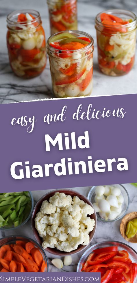 mild giardiniera recipe #mildgiardiniera #giardiniera #pickledvegetables #homemadegiardiniera Gardinera Recipes, How To Make Giardiniera, Gardeniera Recipe, Gardenaire Recipes, Canning Giardiniera Recipe, Homemade Giardiniera Recipe, Pickled Veggies Recipe, Giardiniera Recipe, Quick Pickled Vegetables