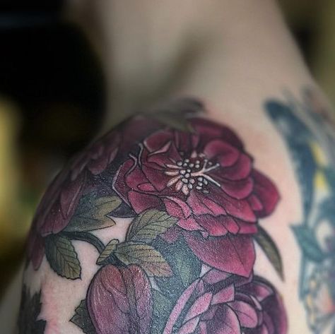 Black Hellebore Tattoo, Alice Kendall Tattoo, Hellebore Tattoo, Kendall Tattoo, Winter Rose, Goldfinch, I Tattoo, Tattoos, Instagram