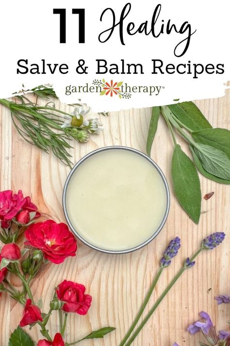 An all-natural, healing DIY balm surrounded by cut flowers. Immunity Boosting Smoothie, Natural Electrolyte Drink, Diy Salve, Healing Salve Recipe, Homemade Salve, Herbal Medicine Recipes, Citronella Essential Oil, Salve Recipes, Holistic Recipes