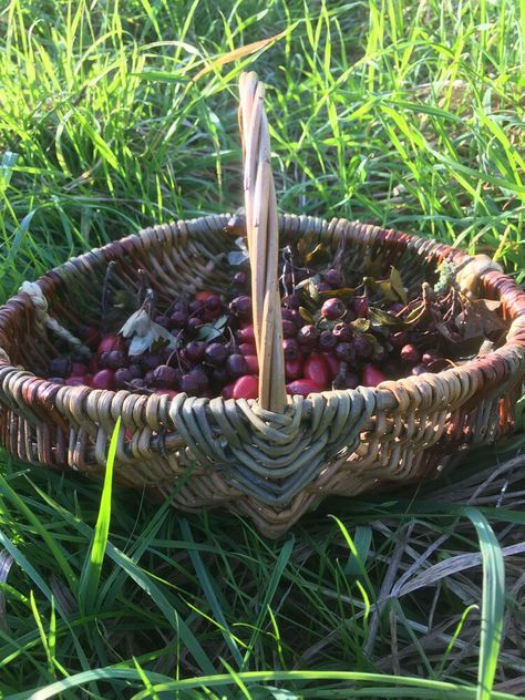 Make a Foraging Basket. A workshop with Amy Cox. — Three Storeys Foraging Basket, 3rd December, Berry Baskets, Small Frame, Photo Reference, Fun Bags, Bristol, Garden Tools, Baskets