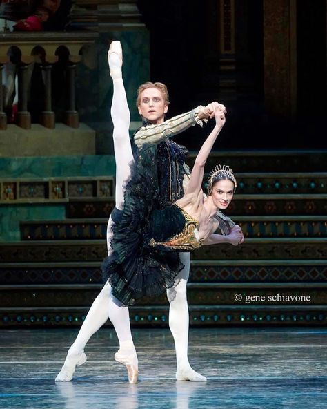 Ballet on Instagram: “Polina Semionova and David Hallberg in “Black Swan” PDD ✨🖤✨ 📷 @geneschiavoneofficial” Princesa Clash Royale, Royal Blue Wedding Theme, Alvin Ailey, Bolshoi Ballet, Ballet Inspiration, American Ballet Theatre, Boris Vallejo, Royal Blue Wedding, Ballet Photos