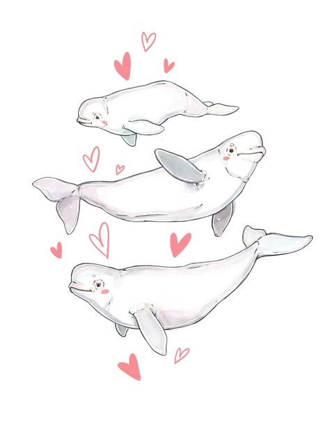 Watercolor Beluga Whale, Beluga Drawing, Beluga Tattoo, Beluga Whale Drawing, Watercolor Whales, Whale Drawing, Animals Poster, Whale Illustration, Whale Painting