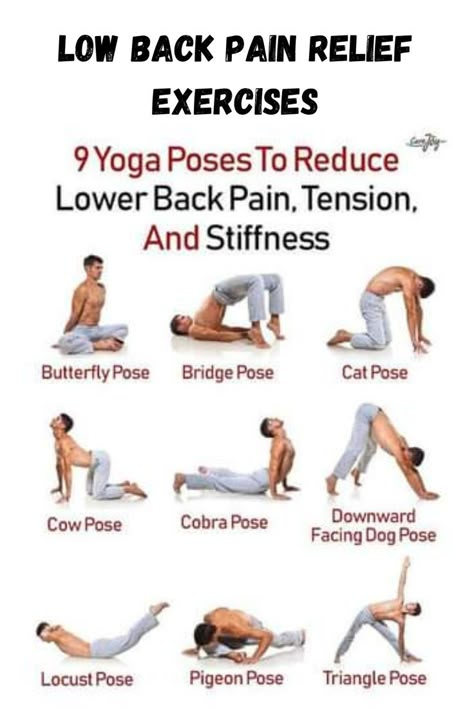 Transverse Abdominis, Better Posture Exercises, Back Pain Yoga, Butterfly Pose, Yoga For Back, Lower Back Pain Exercises, Back Pain Remedies, Yoga For Back Pain, Posture Exercises